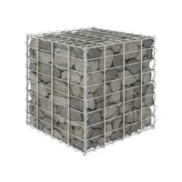 lit surélevé cube à gabion fil d'acier 40x40x40 cm