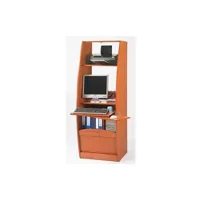 armoire de bureau beaux meubles pas chers armoire informatique galbée largeur 60 cm 5 niches - merisier - l 60 x l 59.1 x h 171.5 cm