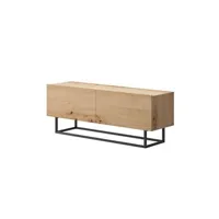 meubles tv bestmobilier kyle - meuble tv 2 portes - bois et métal noir - 120 cm - style industriel - bois