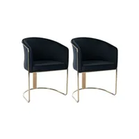 chaise pascal morabito lot de 2 chaises avec accoudoirs en velours et métal - noir et doré - josethe de