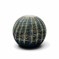 repose-pieds tattoo cactus de maurizio galante &tal lancman