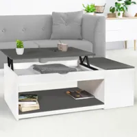 table de salon avec plateau relevable et coffre bois blanc et plateau gris