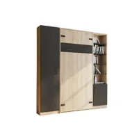 composition lit escamotable style industriel key  bi-ton chêne noir mat 90*200 cm l : 205 cm