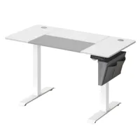bureau assis debout électrique acier effet bois blanc