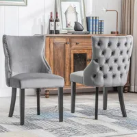chaise de salle à manger lot de 2 - chaises en velours + piqûre de bouton + structure en bois massif - gris