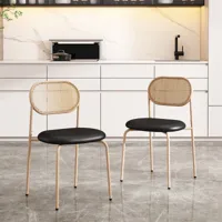 lot de 2 chaises de salle à manger en rotin, chaise de loisir moderne et simple avec 4 pieds en métal, poursalon et de chambre (noir+marron)