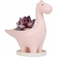 pot de céramique succulente avec soucoupe, pot de fleur cactus forme de dinosaure, mini intérieur pot de plante cadeau décoration pour maison bureau
