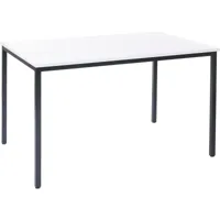 bureau braila, table de conférence / seminaire, 120x80cm blanc - white