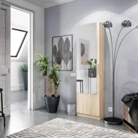meuble à chaussures marron à une porte avec miroir, mesure 180 x 50 x 22 cm