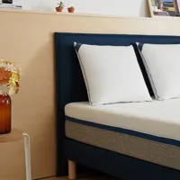 tête de lit 160 bleue tediber  - livrée gratuitement en express -  marque française - 100 nuits d'essai - plus de 63 000 clients ravis